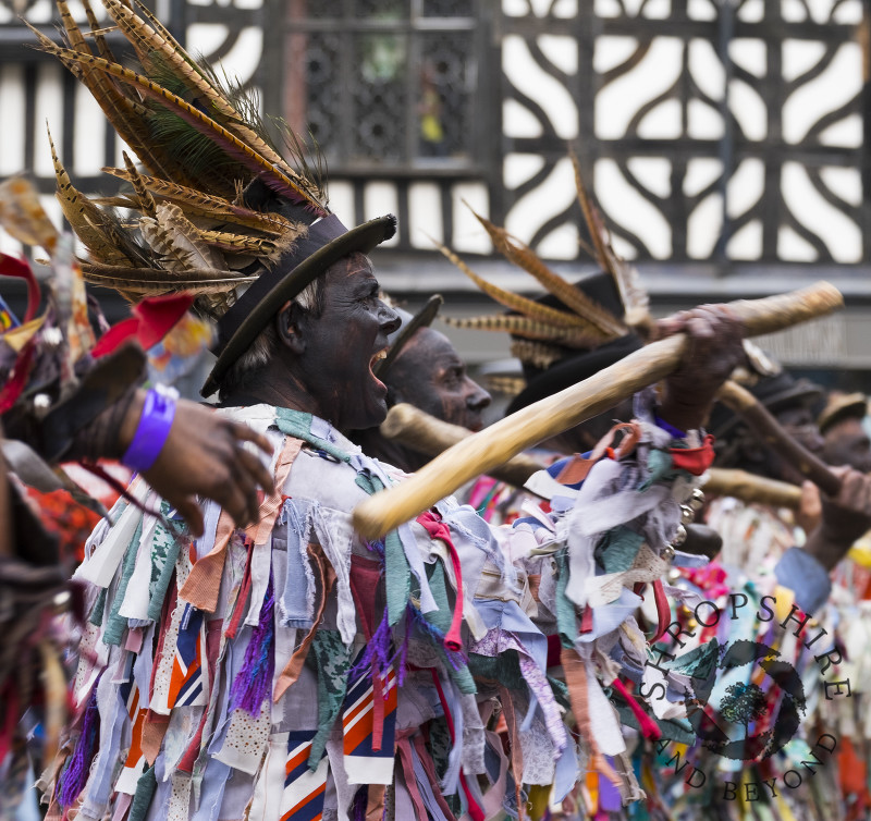 Shropshire Bedlams morris dancers perform in the Square during Shrewsbury Folk Festival, Shropshire, England.