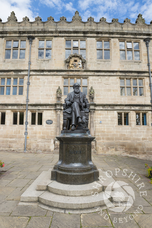 Statue of Charles Darwin outside the library in Shrewsbury, Shropshire, England.