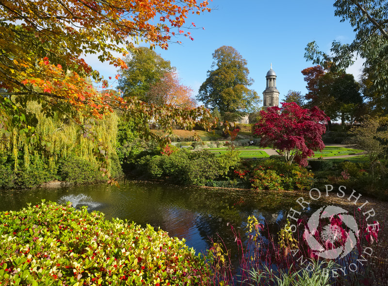 Vibrant autumn colours in the Dingle gardens in the Quarry, Shrewsbury, Shropshire, England.