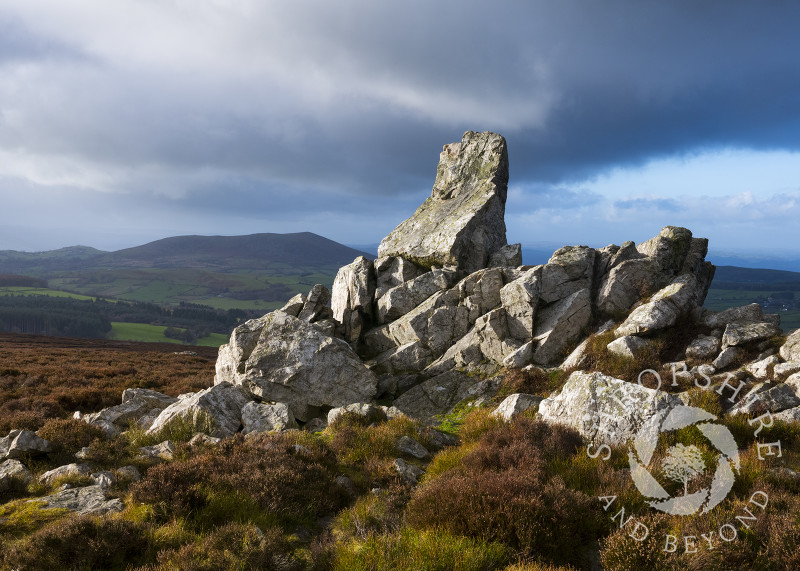 Diamond Rock on the Stiperstones, Shropshire, with Corndon Hill, Powys.
