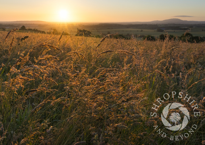 Sunrise on Lyth Hill, Shropshire, with Haughmond Hill and the Wrekin seen on the horizon.