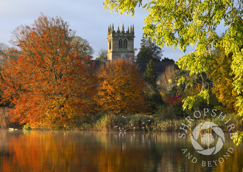 Autumn sunrise at Ellesmere with St Mary's Church, Shropshire.