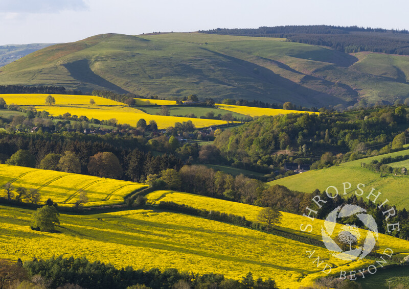 The Long Mynd and Edgton seen from Burrow Hill, Shropshire.