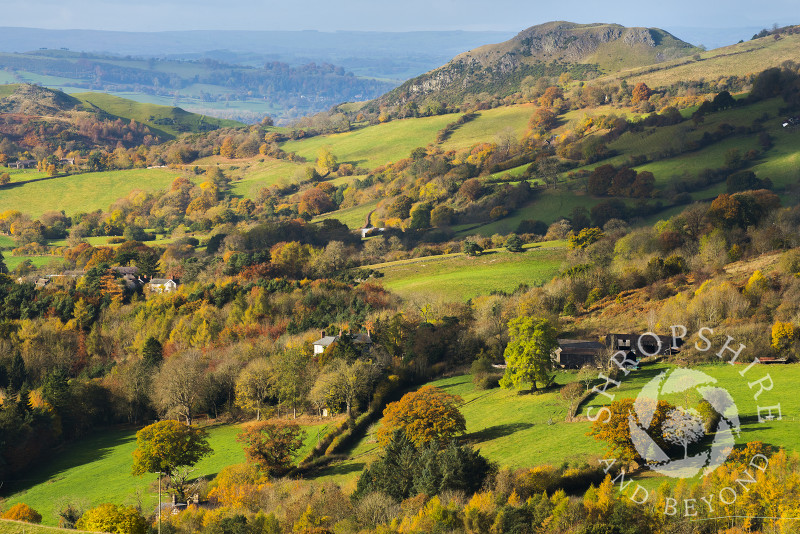 A view of the Welsh countryside in autumn seen from Heath Mynd,  near Bishop's Castle, Shropshire, with Roundton Hill, Powys, in the distance.