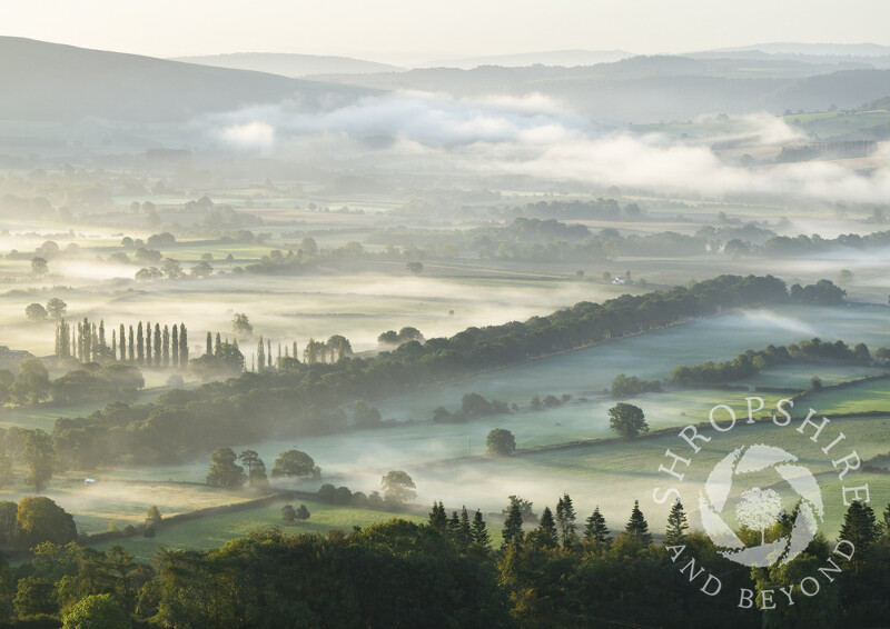 Mist over the Onny Valley at sunrise, seen from Heath Mynd, Shropshire.