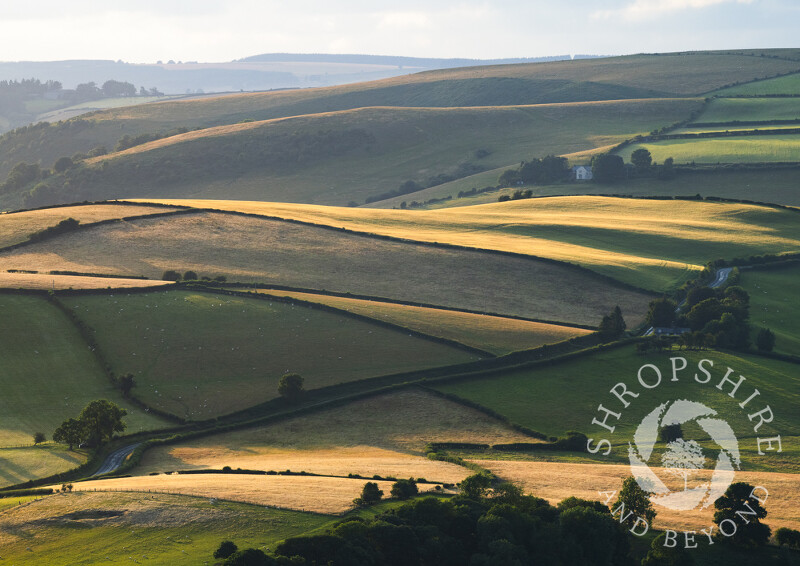 Evening light in the Redlake Valley, seen from Caer Caradoc, Shropshire.