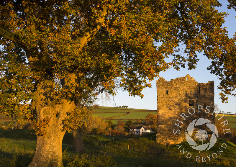 Sunrise at Hopton Castle, near Craven Arms, Shropshire.