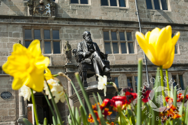 The statue of Charles Darwin statue outside Shrewsbury Library, Shrewsbury, Shropshire, England.