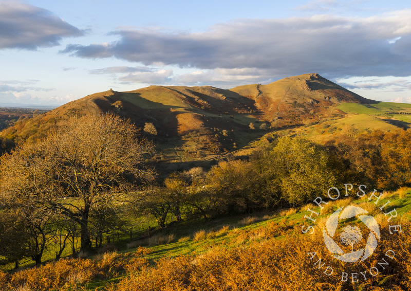 Evening light on Caer Caradoc, seen from Hope Bowdler Hill, Shropshire.