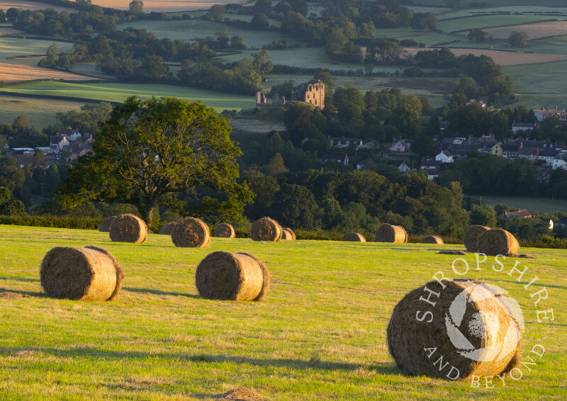 Early morning light picks out Clun Castle in the Clun Valley, Shropshire.