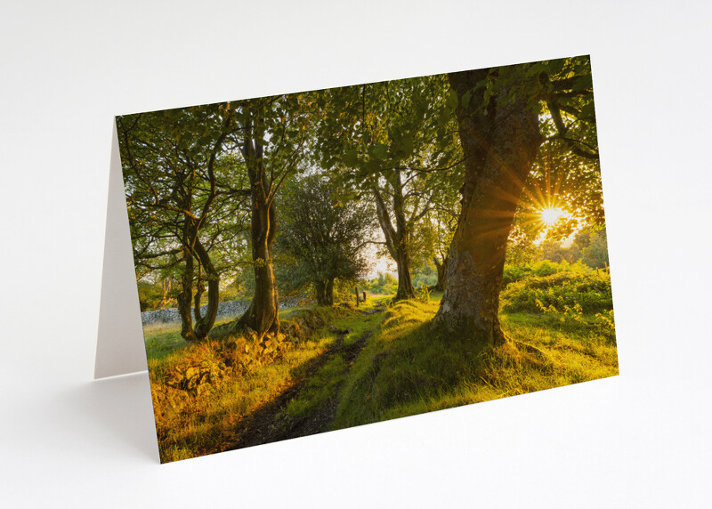 Sunrise at Brook Vessons, the Stiperstones, Shropshire.