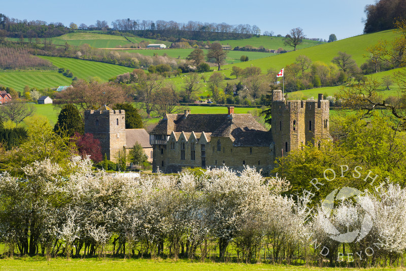 Spring blossom at Stokesay Castle, Shropshire.