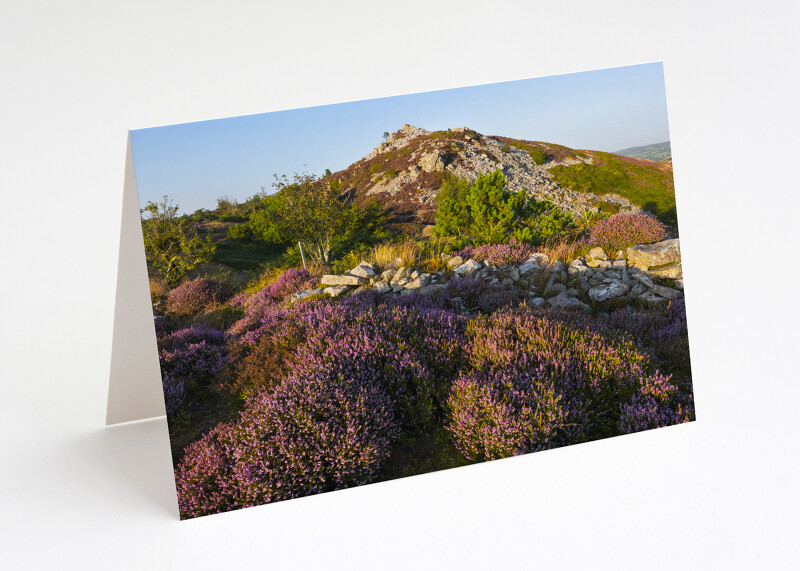 The Rock on the Stiperstones, Shropshire