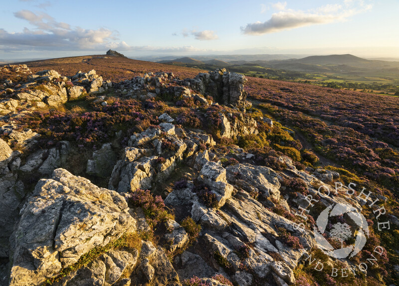 Evening light on the Stiperstones, with Manstone Rock and Corndon Hill, Shropshire.