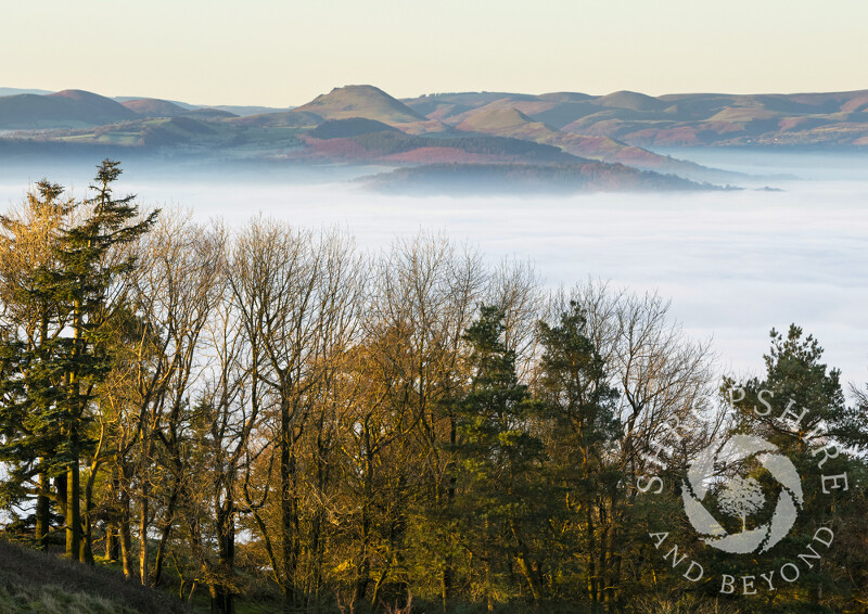 The Stretton Hills above an inversion, seen from the Wrekin, Shropshire.