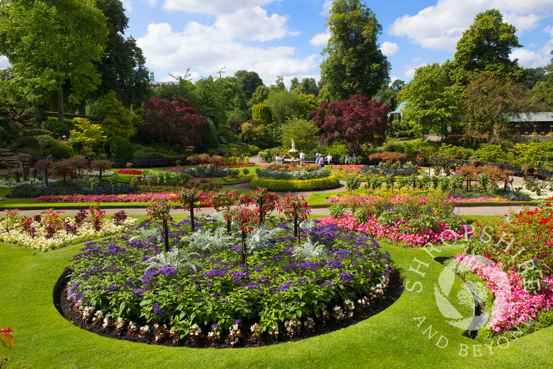 Summer colour in the Dingle, Shrewsbury, Shropshire, England.