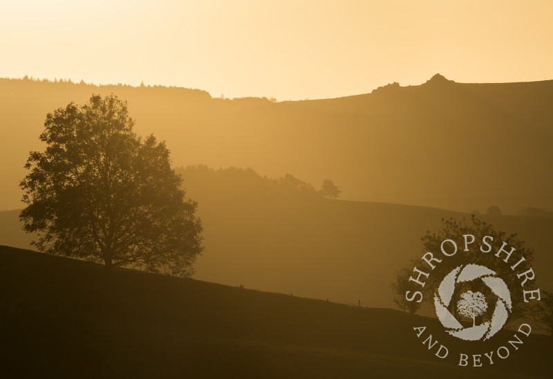 The view from Mitchell's Fold stone circle looking to Nipstone Rock on the Stiperstones, Shropshire.