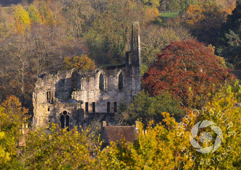 Autumn at Wenlock Priory, Much Wenlock, Shropshire.