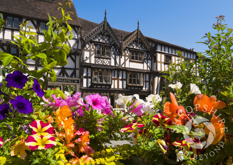 Summer flowers in Broad Street, Ludlow, Shropshire.