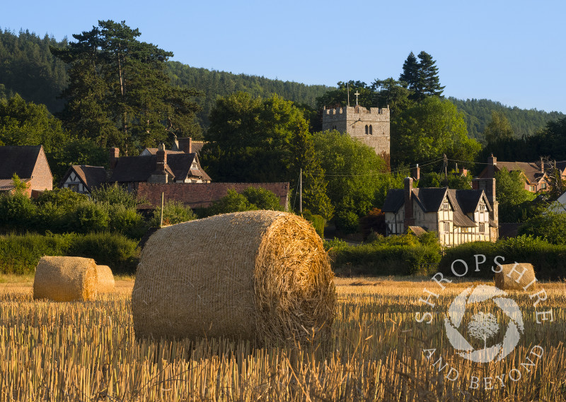 Straw bales at Rushbury, beneath Wenlock Edge, Shropshire.