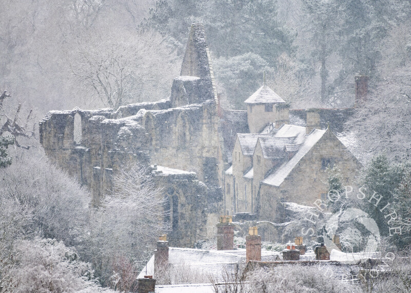 Winter at Much Wenlock Priory, Shropshire.