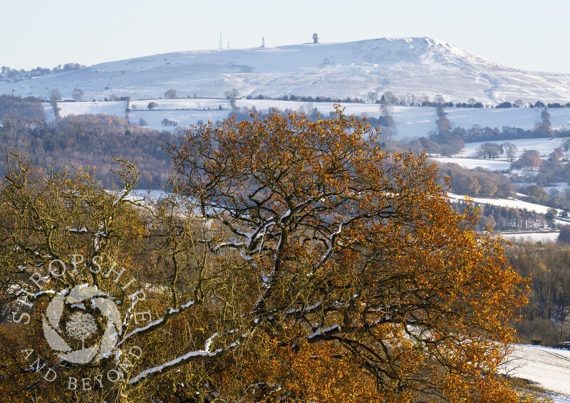 Autumn colour on Wenlock Edge and a wintry Titterstone Clee on the horizon, Shropshire, England.