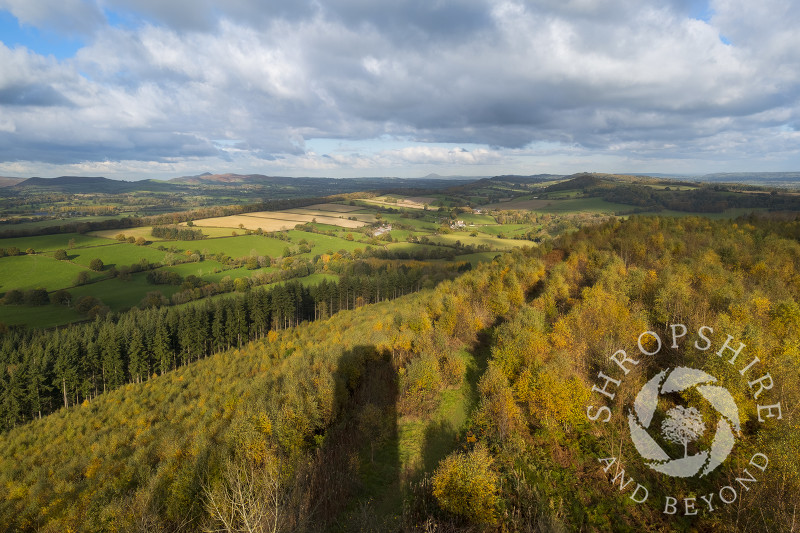 The view from Flounders' Folly, Shropshire.