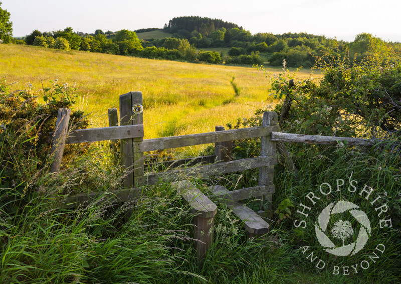 A stile leading to Ganderbeach in south Shropshire.