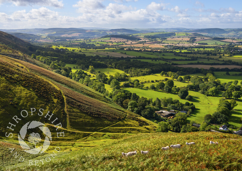 South Shropshire countryside seen from the west side of the Long Mynd, Shropshire.