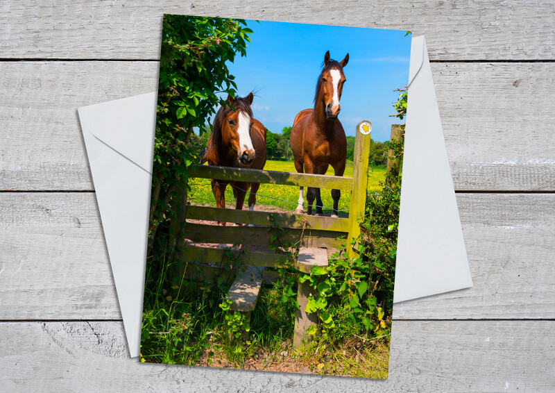 Over the stile - horses at All Stretton, Shropshire.