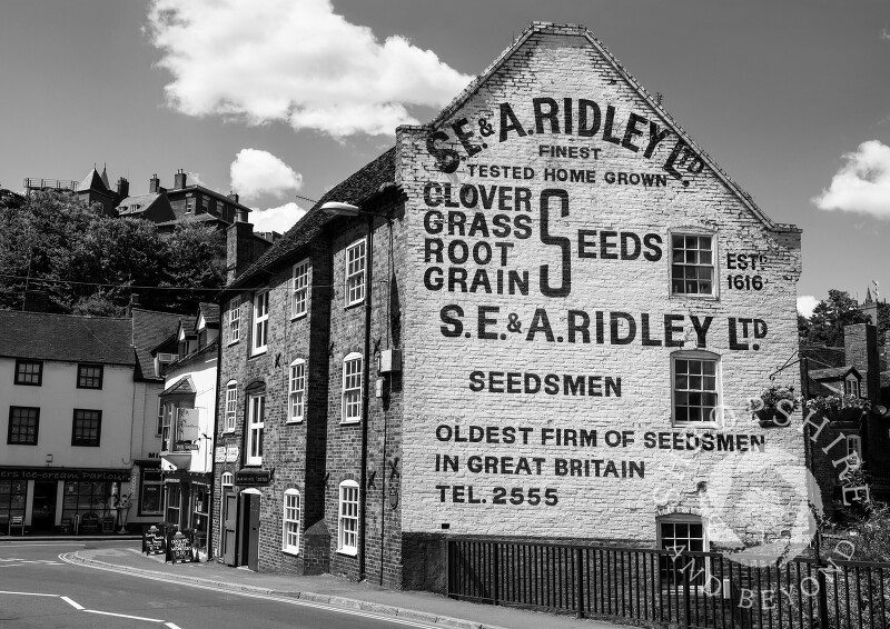 S.E. & A. Ridley Ltd advertisement on a building in Bridge Street, Bridgnorth, Shropshire, England.