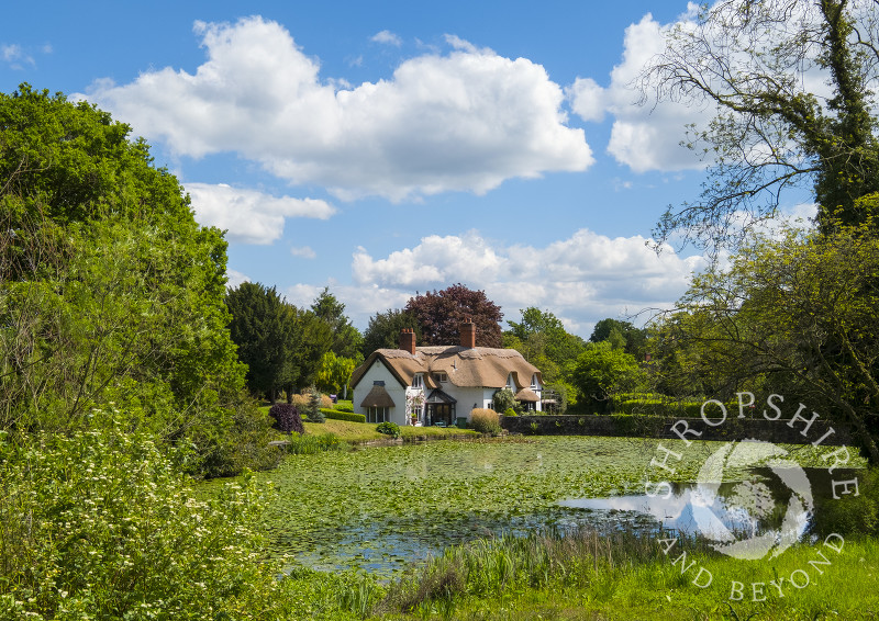 Thatched cottage reflected in the village pool at Badger, Shropshire.