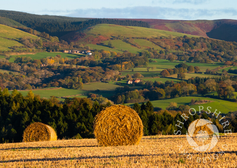 Straw bales near Edgton, with the Long Mynd, Shropshire.