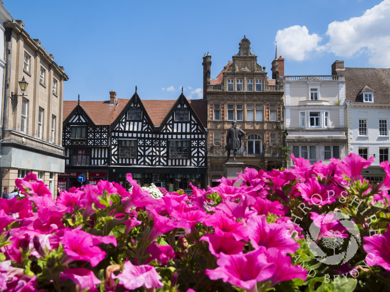 Summer flowers in the Square, Shrewsbury, Shropshire.