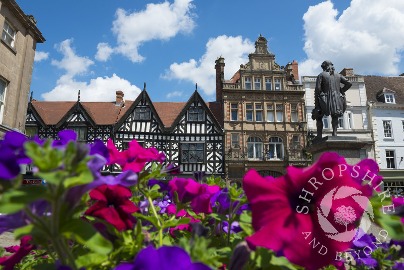 Summer flowers in the Square, Shrewsbury, Shropshire.