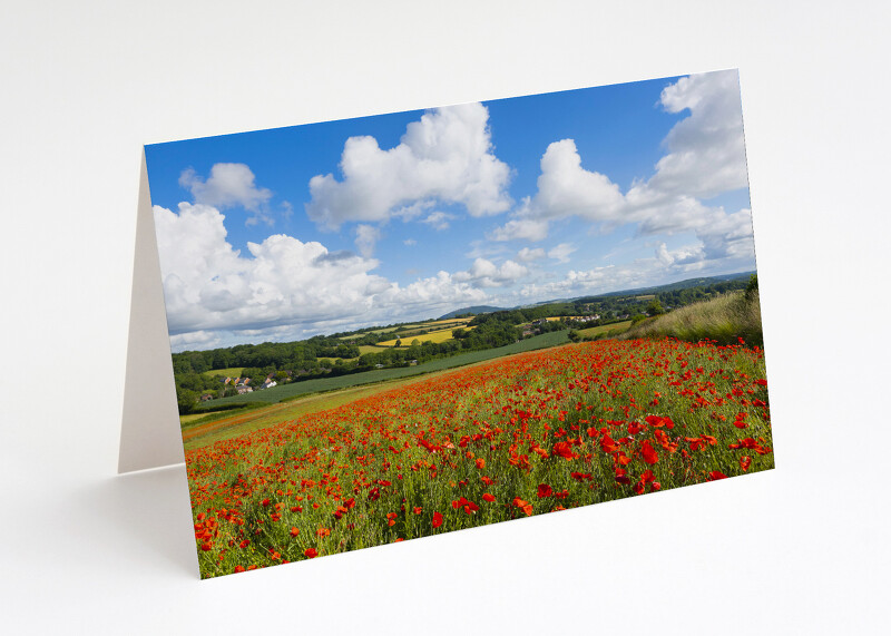 Poppy field near Much Wenlock, Shropshire.