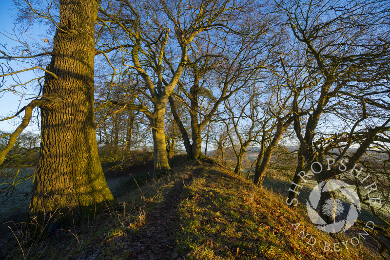 A path along the rampart of Caynham Camp Iron Age hill fort, near Ludlow in Shropshire.