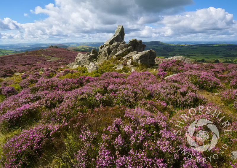 Diamond Rock on the Stiperstones, Shropshire.