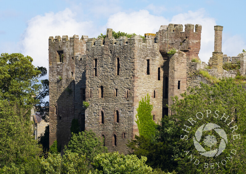 Ludlow Castle in summer, Shropshire.