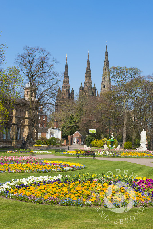 Springtime in Beacon Park, Lichfield, Staffordshire, England.