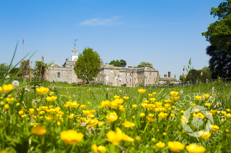 A buttercup meadow in front of Morville Hall at Morville, near Bridgnorth, Shropshire, England.