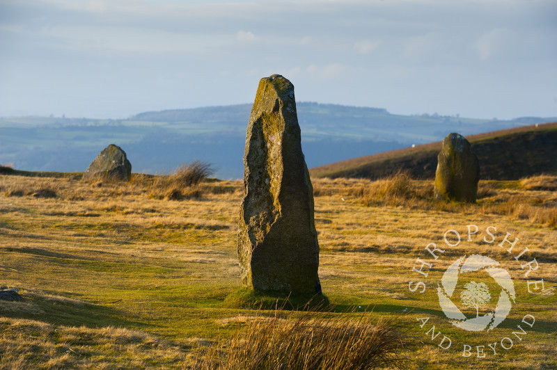 Evening sunlight on Mitchell's Fold stone circle, Stapeley Hill, near Priest Weston, Shropshire.