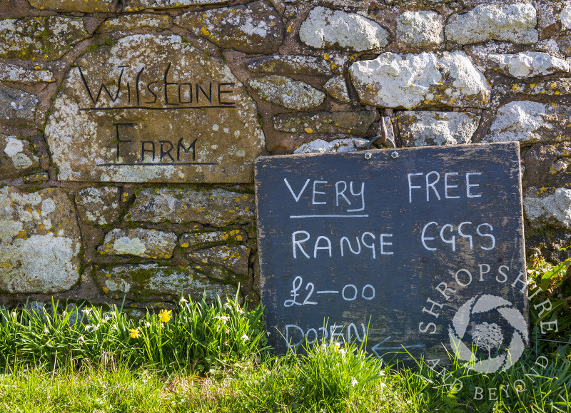Sign advertising free range eggs for sale outside Wilstone Farm near Cardington, Shropshire.