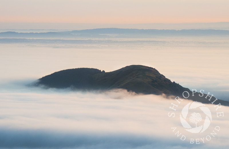 Earl's Hill and Pontesford Hill rise above the early morning mist, Shropshire.