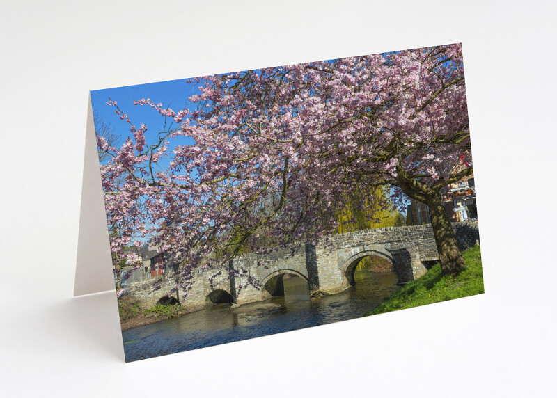 Spring blossom at Clun, Shropshire.