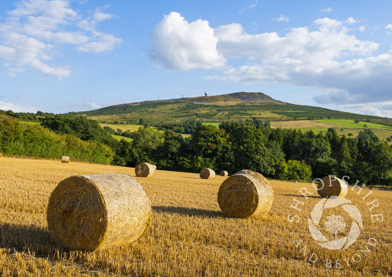 Straw bales beneath Titterstone Clee, Shropshire.