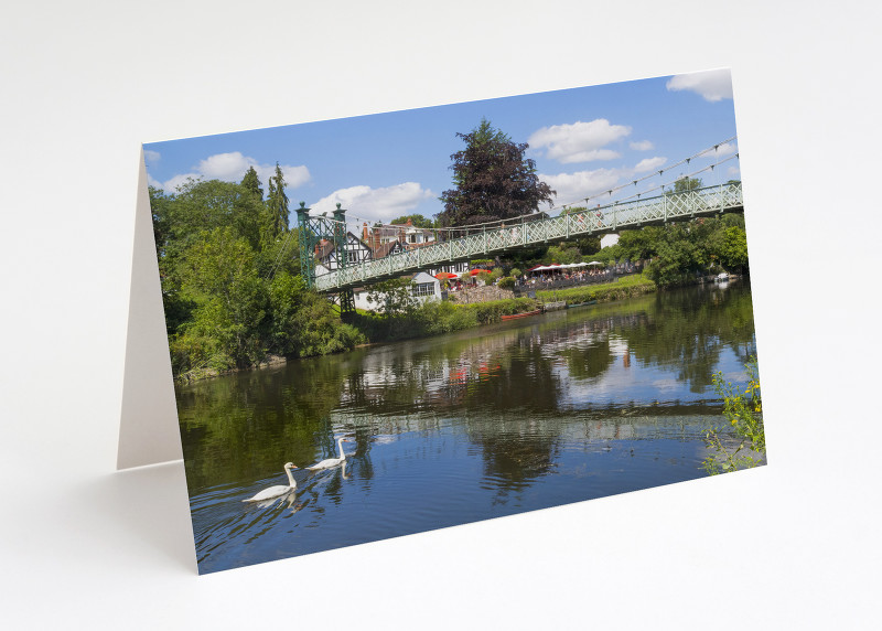 Swans near Porthill Bridge, Shrewsbury, Shropshire.