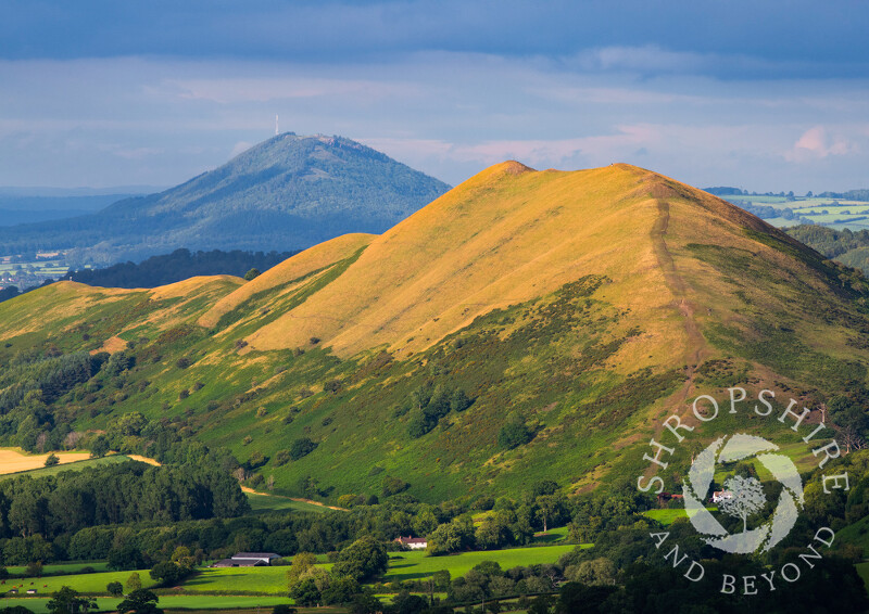 The Lawley and the Wrekin, seen from the Long Mynd.