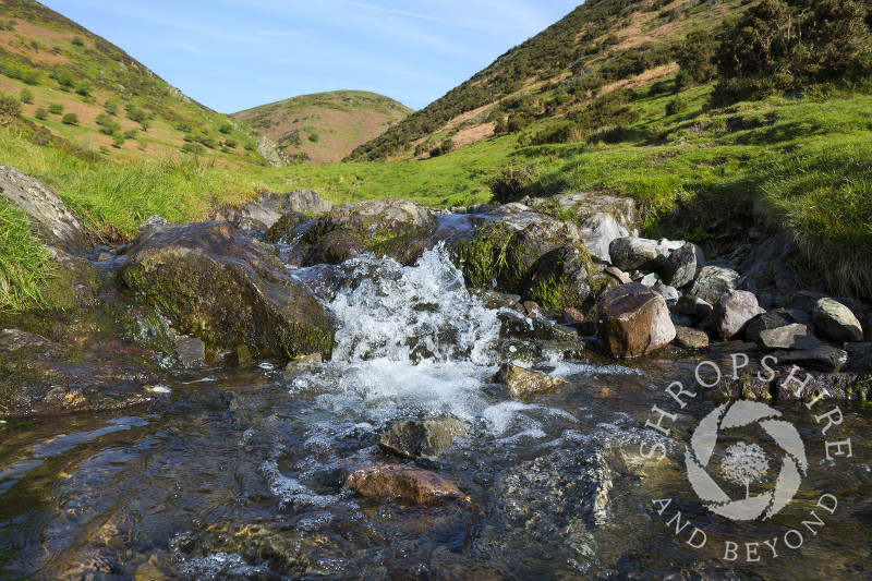 A stream in Carding Mill Valley, Church Stretton, Shropshire.