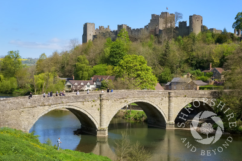 Ludlow Castle, Shropshire,  stands above Dinham Bridge and the River Teme.